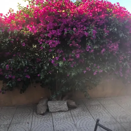 Casa Francesca Διαμέρισμα